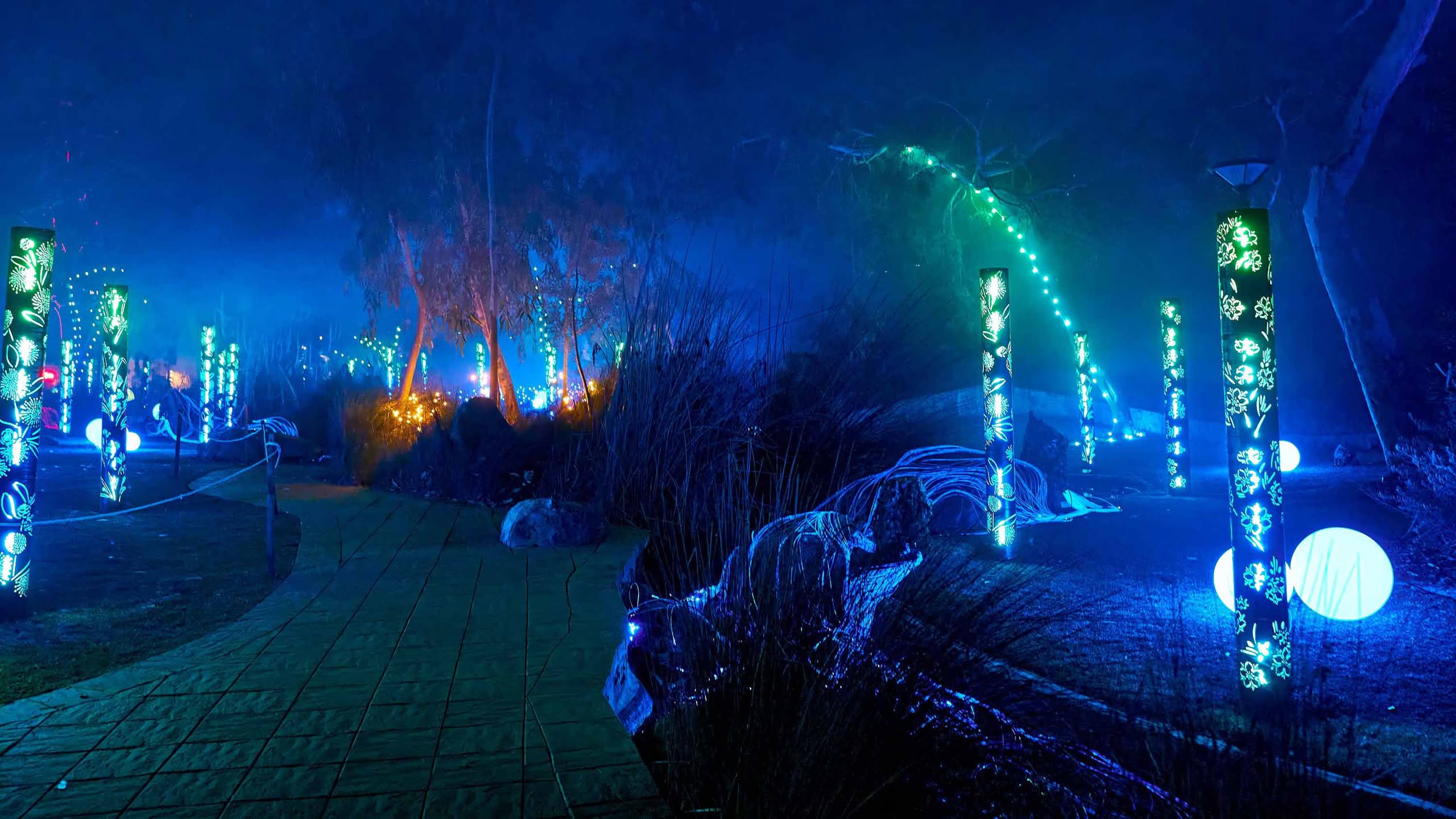 A shimmering light installation glowing among the trees