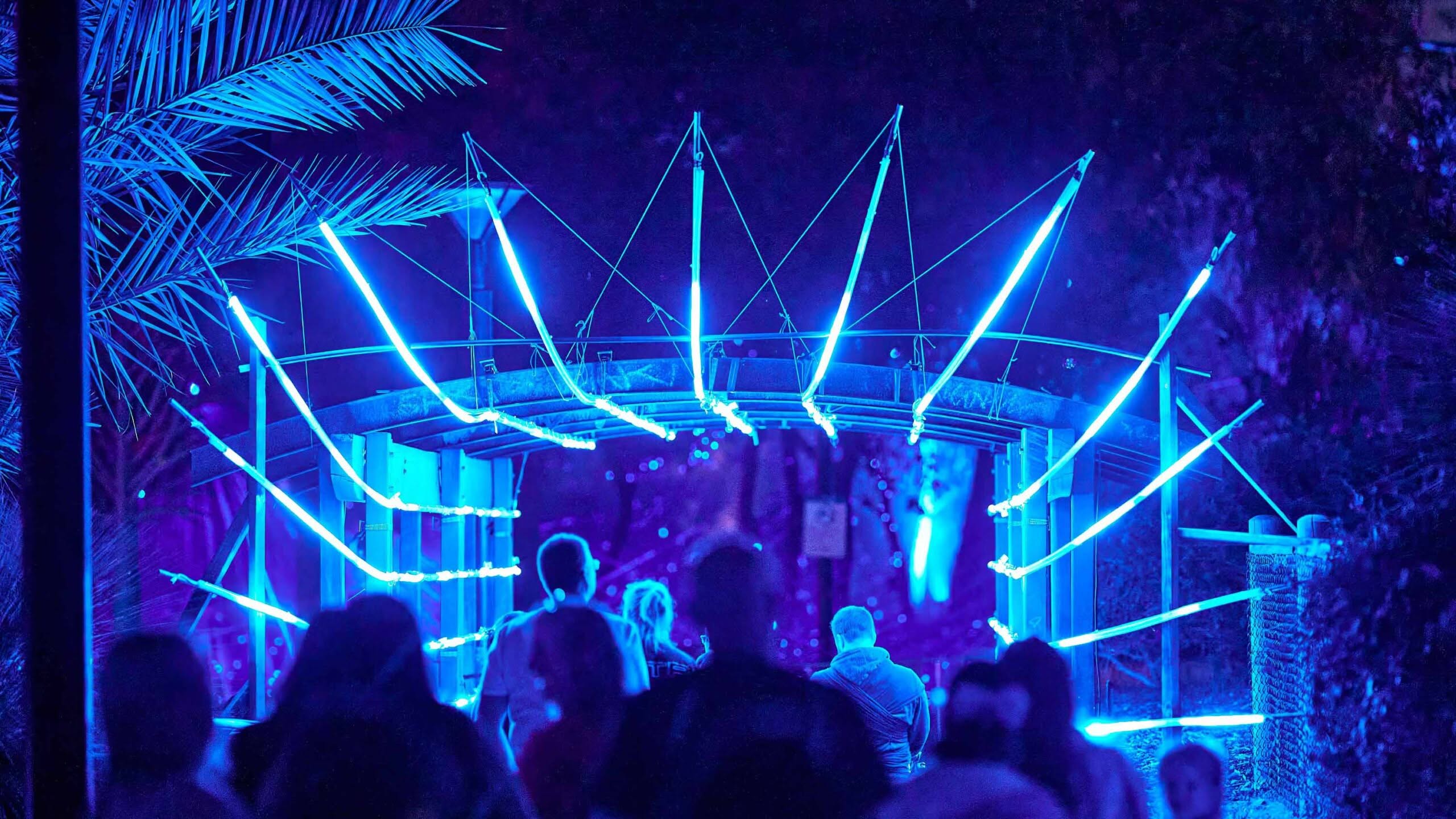 Dense pink laser light through the trees