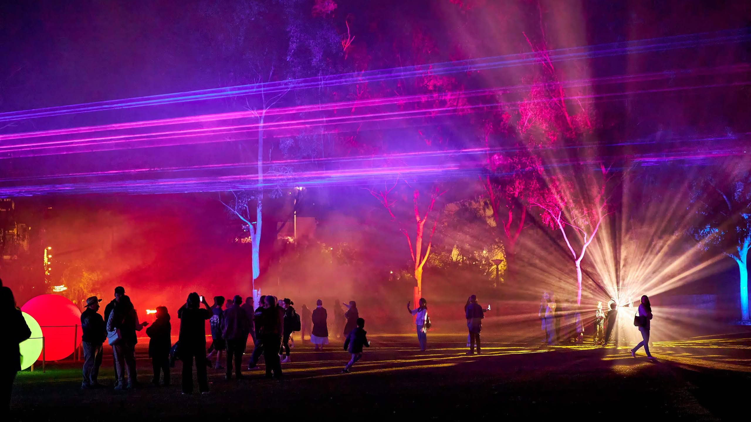 A glowing bird installation among the branches
